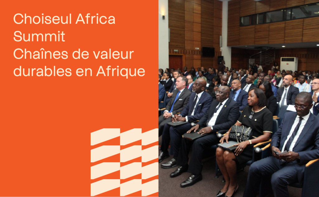 visuel choiseul africasummit chaînes de valeur durables en afrique